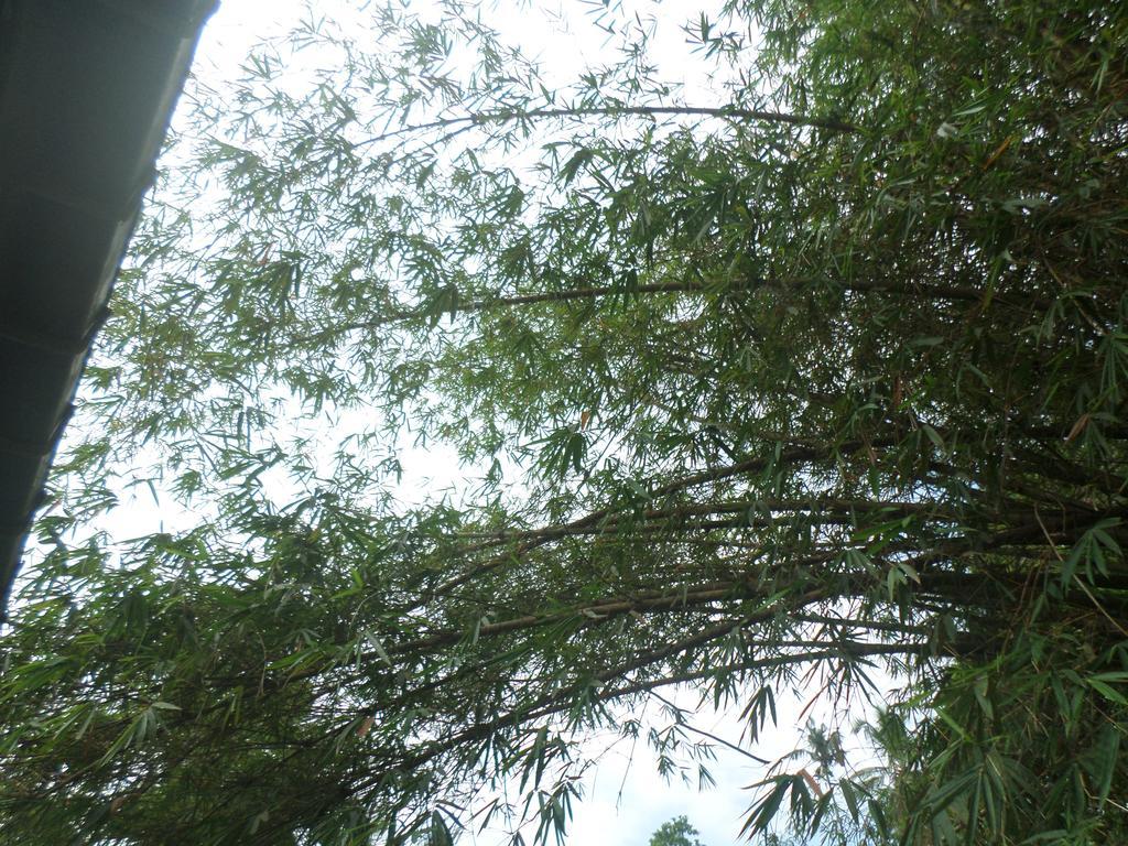 La Villa Unawatuna Bagian luar foto